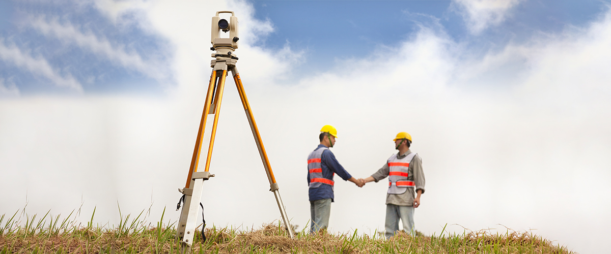 Surveyors